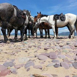 Pause am Strand