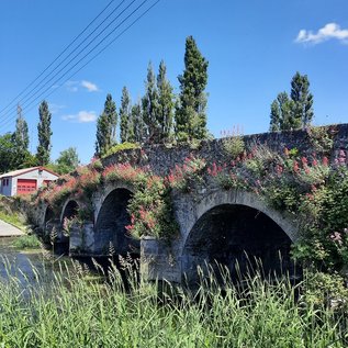 Brücke über die Nore