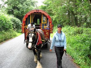 On the Road mit Pferd und Wagen