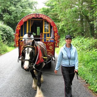 On the Road mit Pferd und Wagen