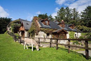 Esel auf der Wiese vor der Pension