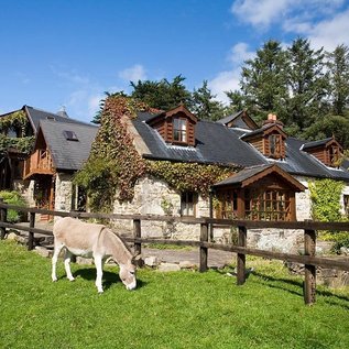 Esel auf der Wiese vor der Pension