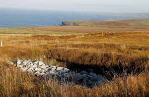 "Ceide Fields" Mit Blick auf den Atlantik