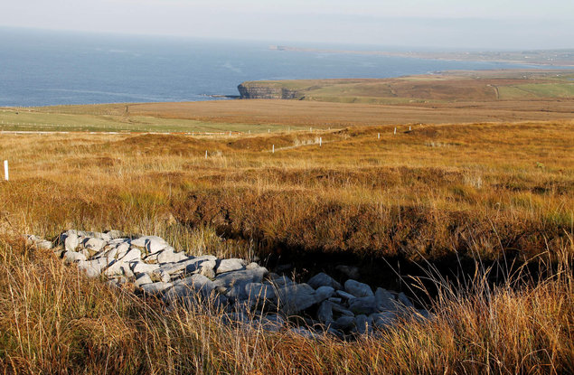 "Ceide Fields" Mit Blick auf den Atlantik