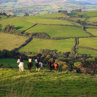 Ausreiten durch co. Tipperary