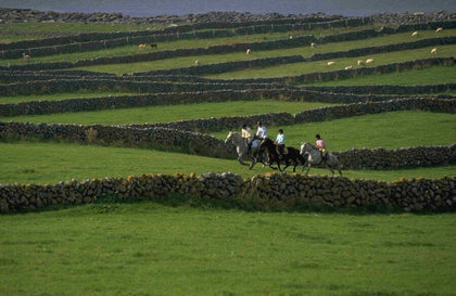 Im Galopp durch den Burren