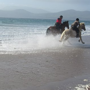 Mit Meeresbrise über den Strand galoppieren