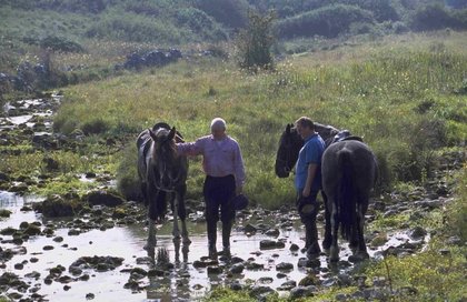 Pause im Moor
