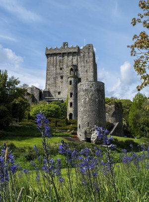 Blarney Castle