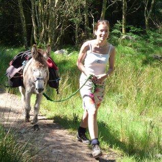 Eselwanderung mit Gepäck