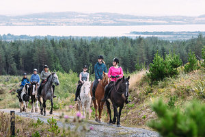 Wanderreiten zwischen Wald und Seen