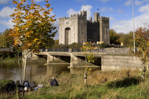 Museumsdorf und Freilichtmuseum "Bunratty Castle"