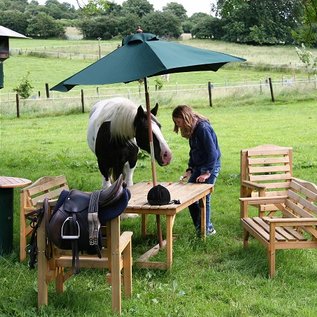 Gemeinsames campen mit Pferd